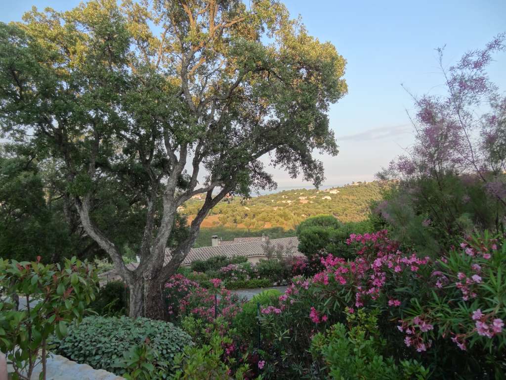 garden-garten-tuin-jardin-villa-les-coralines